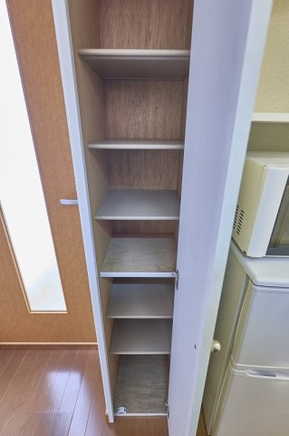 レオパレストモエⅡの玄関