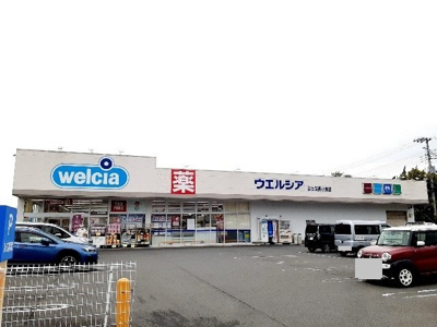 【周辺】 | ケー・ビー・アイⅢ | ウエルシア　富士宮西小泉店まで1000m