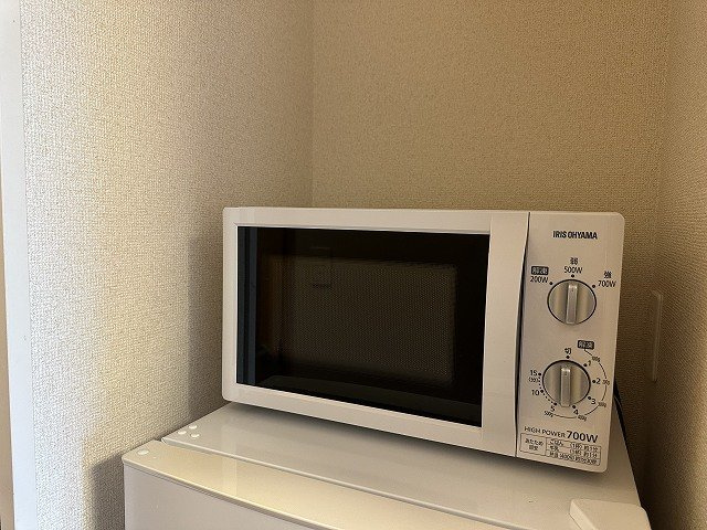 レオパレス中川Ⅱのその他