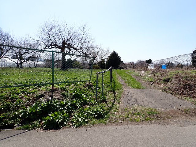 【前面道路含む現地写真】 | 平川市猿賀　雑種地　380坪