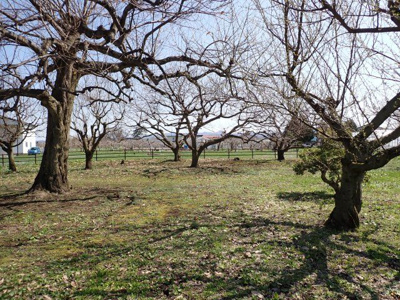 【外観】 | 平川市猿賀　雑種地　380坪