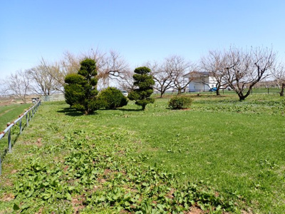 【外観】 | 平川市猿賀　雑種地　380坪