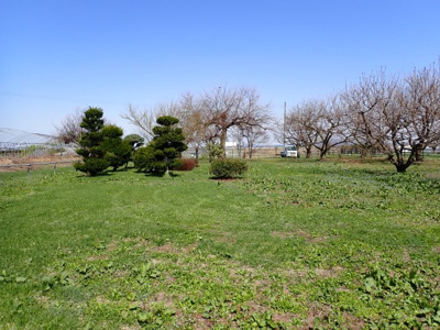 【外観】 | 平川市猿賀　雑種地　380坪