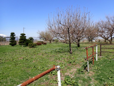 【外観】 | 平川市猿賀　雑種地　380坪