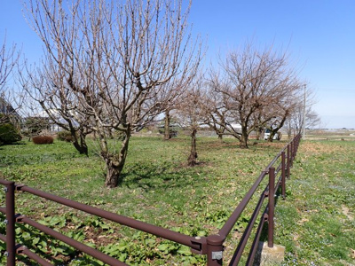 【外観】 | 平川市猿賀　雑種地　380坪
