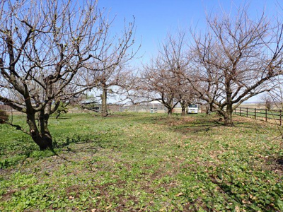【外観】 | 平川市猿賀　雑種地　380坪