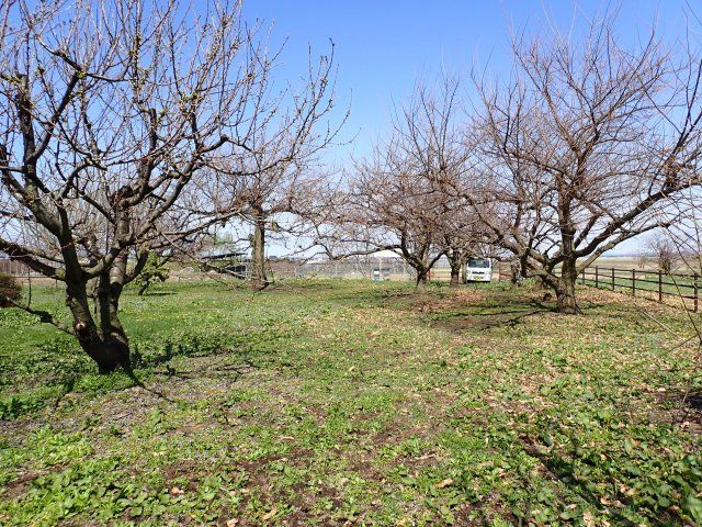 【外観】 | 平川市猿賀　雑種地　380坪