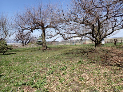 【外観】 | 平川市猿賀　雑種地　380坪