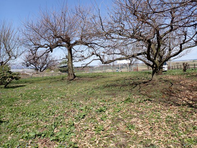 【外観】 | 平川市猿賀　雑種地　380坪