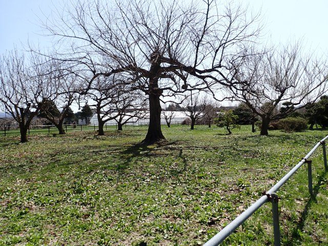 【外観】 | 平川市猿賀　雑種地　380坪