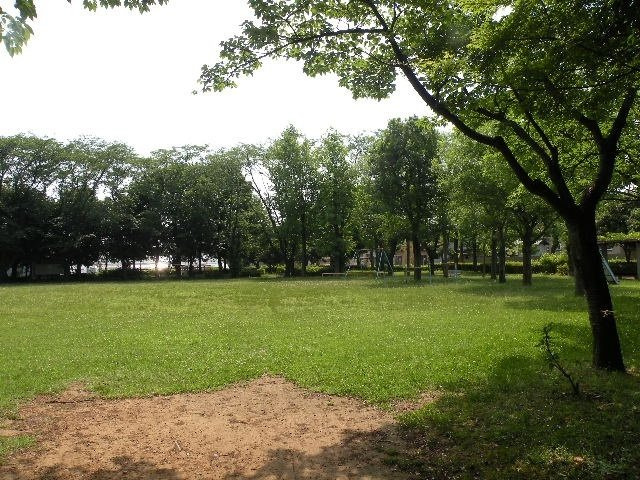 パルディーノ壱番館の周辺|かきの木公園まで10m