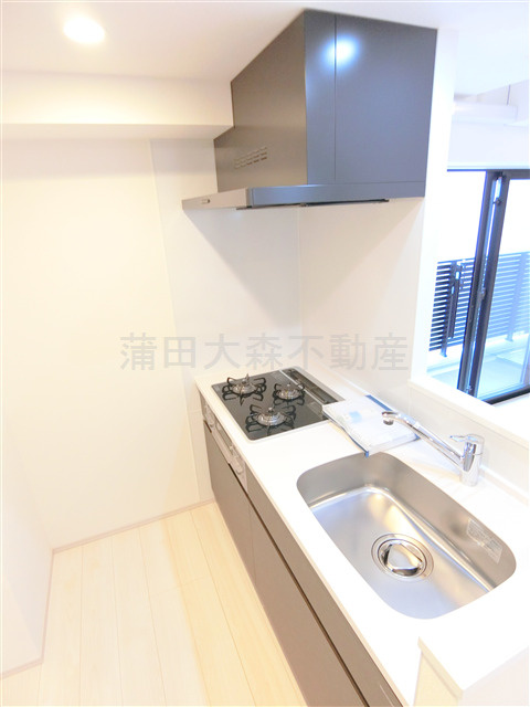 S-RESIDENCE大森bresaのキッチン