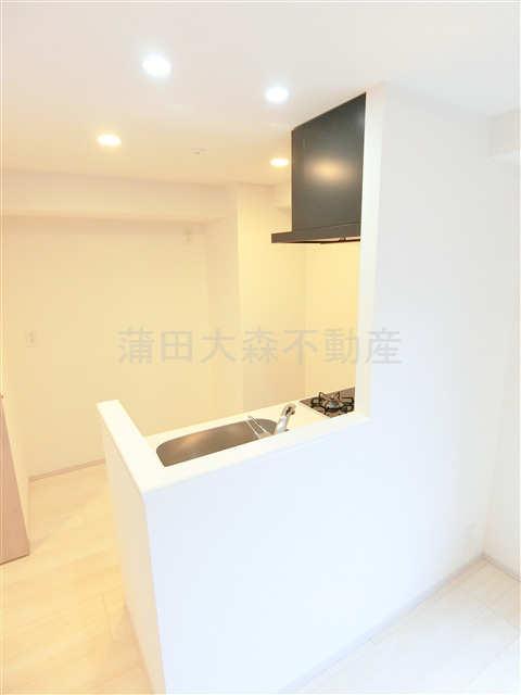 S-RESIDENCE大森bresaのキッチン