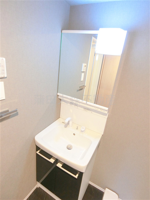 S-RESIDENCE大森bresaの洗面所