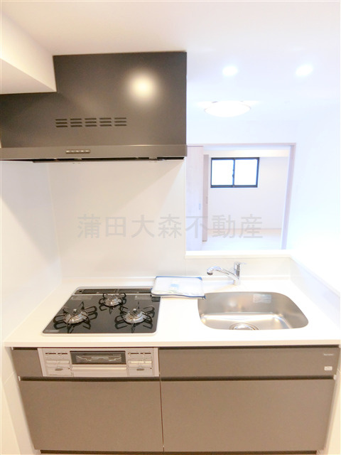 S-RESIDENCE大森bresaのキッチン|3口ガスグリル付　システムキッチン