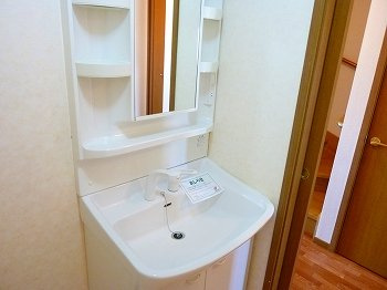 メゾン安田の洗面所