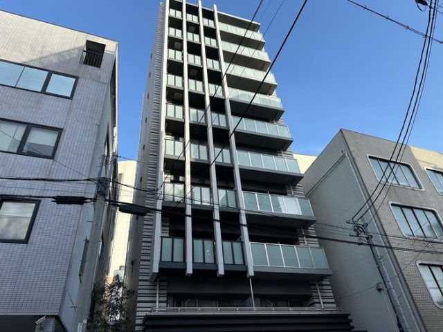 OASIS金山