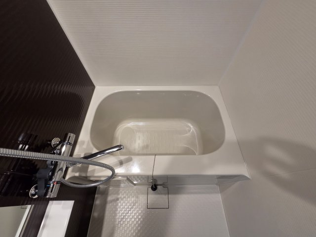 川崎市多摩区長尾４丁目の賃貸マンションの浴室