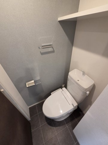 川崎市多摩区長尾４丁目の賃貸マンションのトイレ