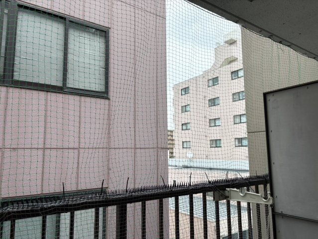 キャピタル上前津|名古屋市の賃貸ならMy賃貸の展望|キャピタル上前津