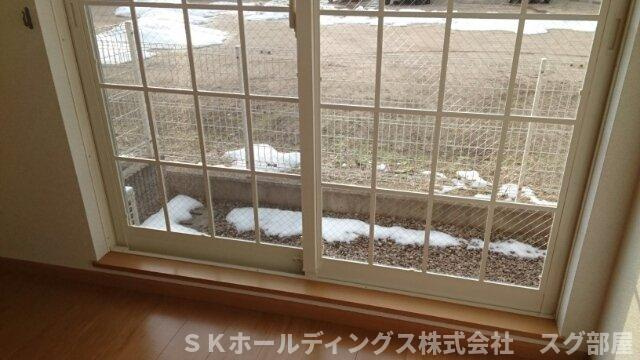 フロイライン　アミィＢのその他