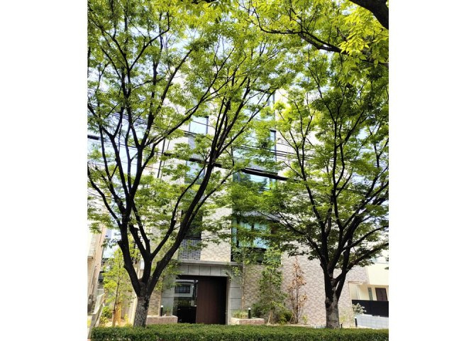 Zelkova Ashiyaの展望