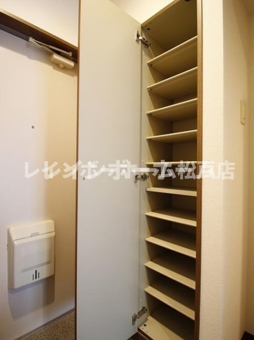 アムール リーヴェロ【仲介手数料：50％OFF】対象物件！の収納|収納スペース豊富です
