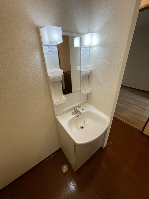 セジュールウィルの洗面所
