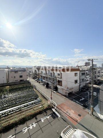 ブルースカイ の展望