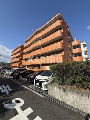 ブルースカイ 