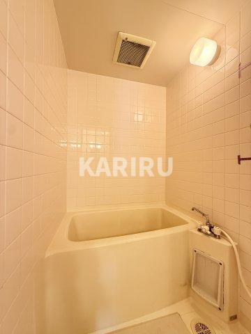 ブルースカイ の浴室