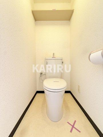 ブルースカイ のトイレ