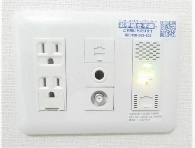 モンステラの設備