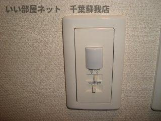 ティアラのその他