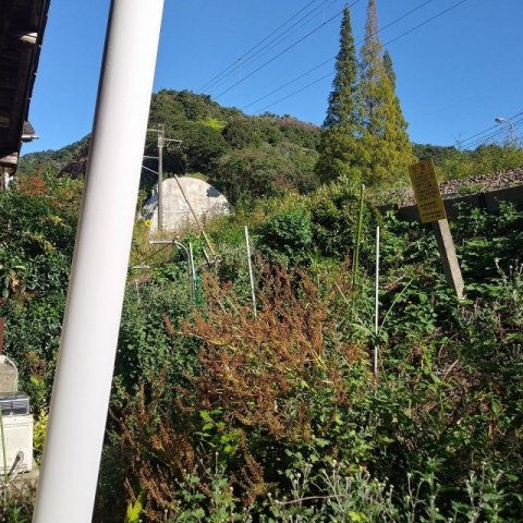 有田町岩谷川内借地店舗の周辺