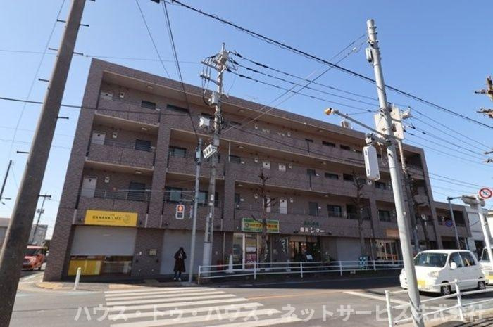 パインツリーコート