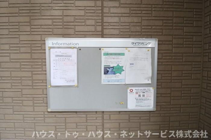バリスサイト　Ｆ
