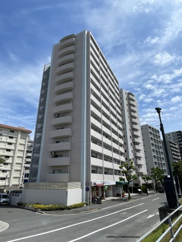 サニーハイム舟入のその他|（西側前面道路を北側から撮影）川沿いで恒久的な開放感がある、西と南二方道路の角地です。