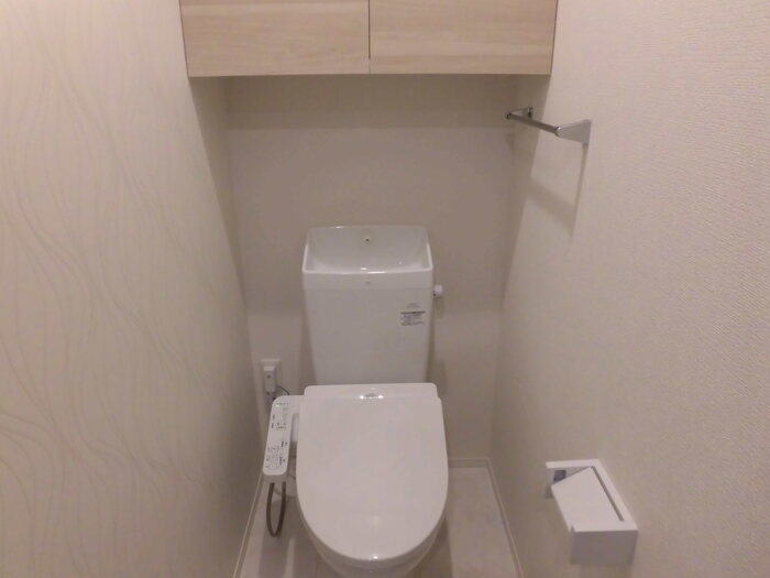 D-ROOM引水のトイレ