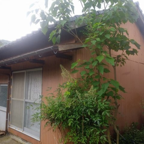 世知原町岩谷口の周辺