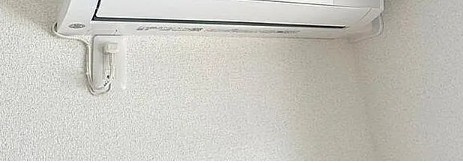 ヴァイン指扇のその他