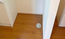 ヴァイン指扇の収納