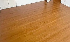 ヴァイン指扇の内装