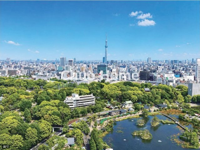 ルネッサンスタワー上野池之端の展望|手を伸ばせば、ふれることが出来そうな環境が、そのままインテリアになったような印象です。その豊かな眺望にふさわしい空間には、通風・採光にも優れ、心地よい光と風があふれています