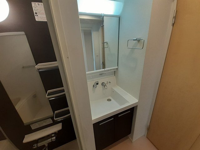 ブリランテ　田辺通の洗面所