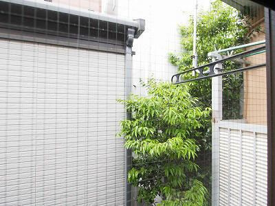 ジュネス香和Ａ棟の展望