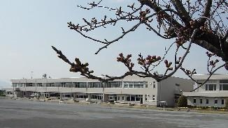 スィート　ジュノーの周辺|海津市立海西小学校まで650ｍ