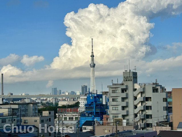 シティウィンズブライトゲートのエントランス|【エントランス】マンションのエントランスは、その物件の印象を決める、顔とも言える場所です。毎日通る場所ですからきれいなのが一番です。