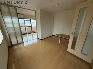 床色が明るい色合いで、とてもきれいです。
