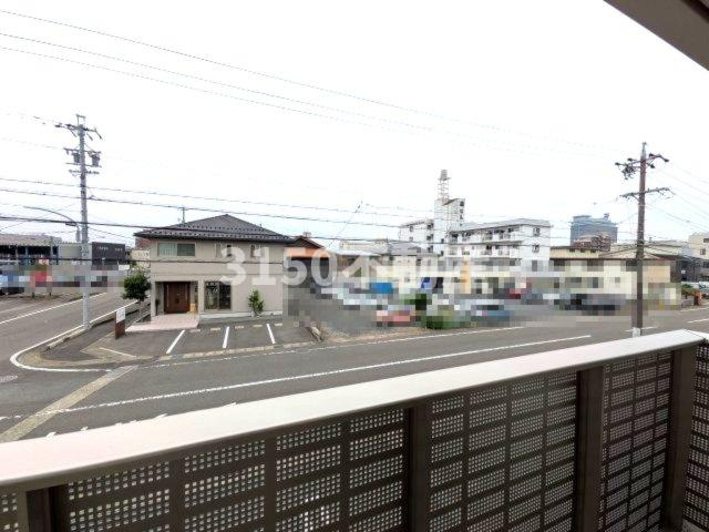 カメリア・ウサの展望